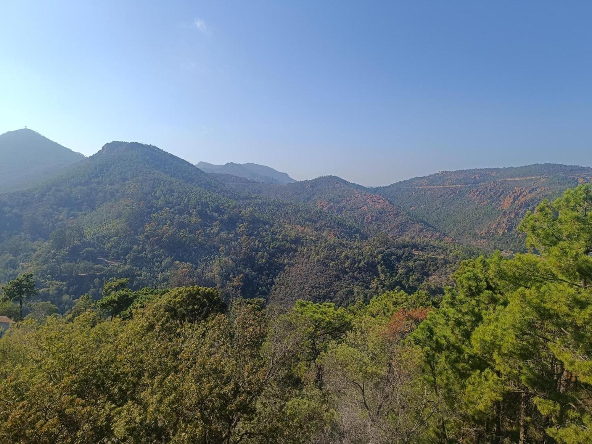 Magnifique Vue Mer Et Piscine - Les Cles De L Esterel Theoule-sur-Mer Exterior photo